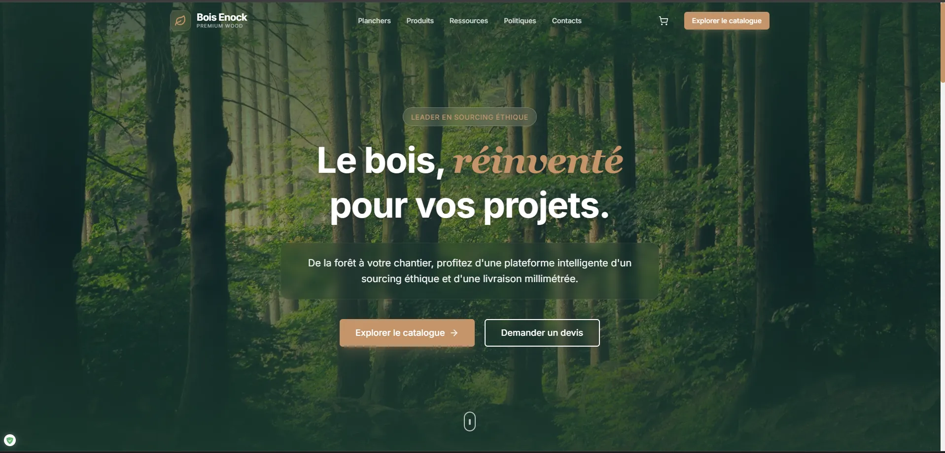 Page d'accueil Bois Enock avec slogan Le bois reinvente pour vos projets sur fond de foret